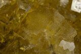 Gemmy Yellow Fluorite Cluster - Spain #327141-2